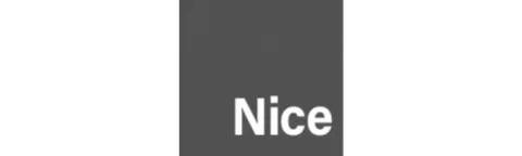 Nice